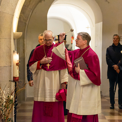 Dies Academicus 2024 / Erzdiözese Wien/Schönlaub