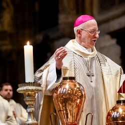 Chrisammesse 2025 / Erzdiözese Wien/ Schönlaub, Stephan Schönlaub