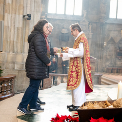 Stephanifest / Erzdiözese Wien/Schönlaub, Stephan Schönlaub