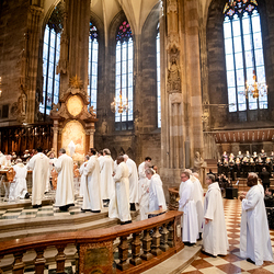 Chrisammesse 2025 / Erzdiözese Wien/ Schönlaub, Stephan Schönlaub