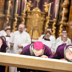 Bischofsprimizmesse Perchtholdsdorf / Erzdiözese Wien/Schönlaub