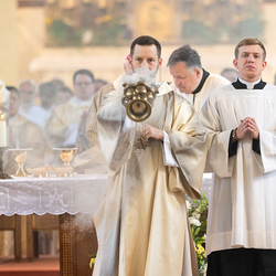 Erzdiözese Wien/Schönlaub, Stephan Schönlaub