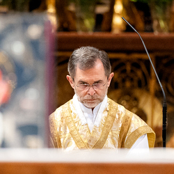 Allerheiligen Stephansdom / Erzdiözese Wien/Schönlaub, Stephan Schönlaub Allerheiligen Stephansdom