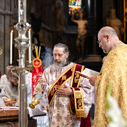 Priesterweihe Byzantinischer Ritus im Stephansdom / Erzdiözese Wien/ Schönlaub