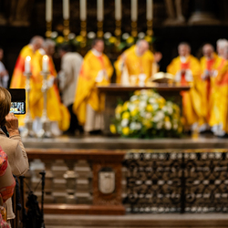 Priesterjubiläen / Erzdiözese Wien/Schönlaub