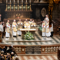 Allerheiligen Stephansdom / Erzdiözese Wien/Schönlaub, Stephan Schönlaub Allerheiligen Stephansdom